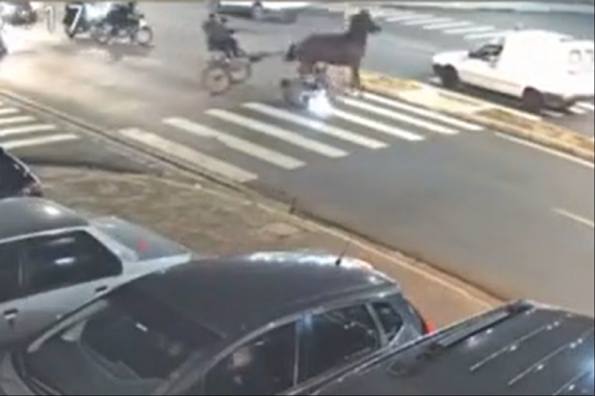 Animal quase pisoteou a vítima, que conseguiu se levantar e permaneceu no canteiro central, em Americana.